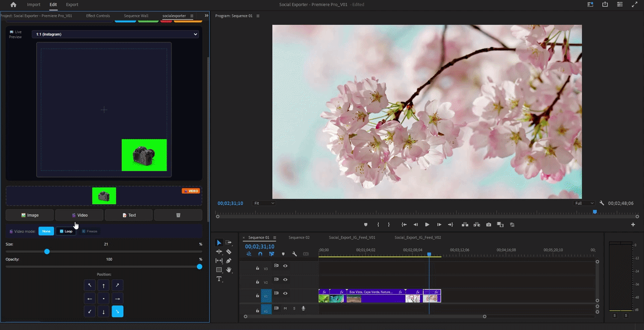 MOV watermark with alpha transparency